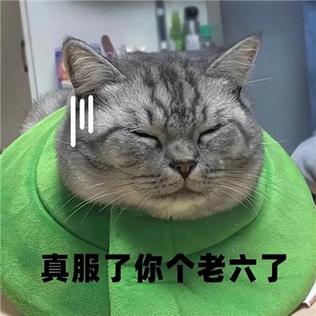 命运方舟战斗系统怎么样(《命运方舟》新版本大更新)插图11