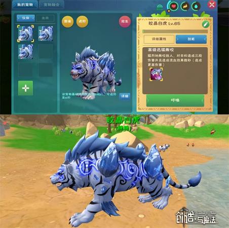 创造与魔法圣甲虫怎么获得(创造与魔法多开搬砖采集资源)插图3 创造与魔法圣甲虫怎么获得(创造与魔法多开搬砖采集资源)插图3