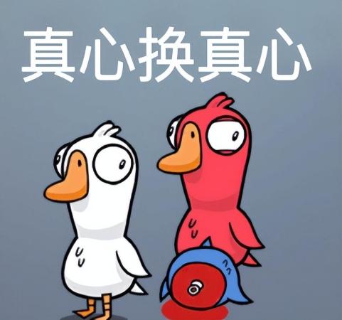 鹅鸭杀玩法介绍(鹅鸭杀新手攻略全角色介绍及玩法)插图2