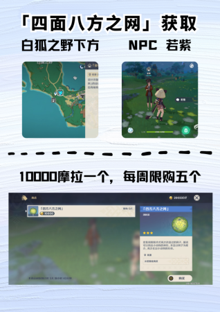 原神雪团雀在哪里捕捉(原神尘歌壶盘点大世界中那些稀有的小动物)插图2
