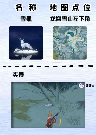 原神雪团雀在哪里捕捉(原神尘歌壶盘点大世界中那些稀有的小动物)插图5