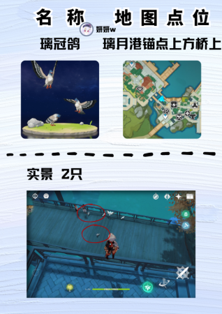 原神雪团雀在哪里捕捉(原神尘歌壶盘点大世界中那些稀有的小动物)插图6