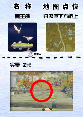 原神雪团雀在哪里捕捉(原神尘歌壶盘点大世界中那些稀有的小动物)插图8