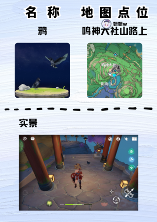 原神雪团雀在哪里捕捉(原神尘歌壶盘点大世界中那些稀有的小动物)插图10
