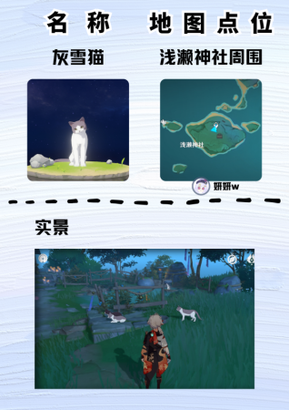 原神雪团雀在哪里捕捉(原神尘歌壶盘点大世界中那些稀有的小动物)插图11