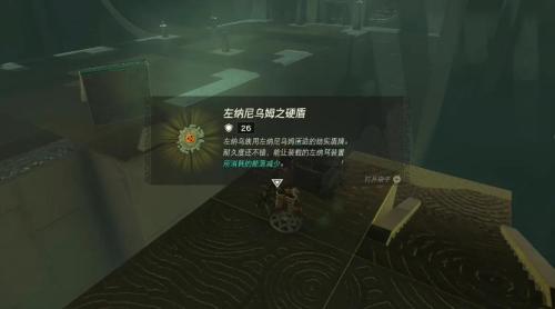 塞尔达传说王国之泪的精髓挑战攻略分享(塞尔达传说之王国之泪神庙攻略)插图12