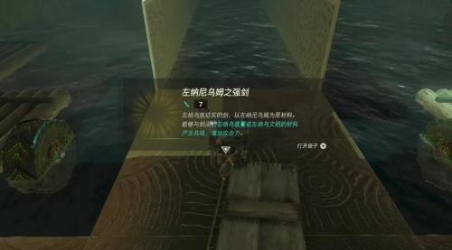 塞尔达传说王国之泪的精髓挑战攻略分享(塞尔达传说之王国之泪神庙攻略)插图43