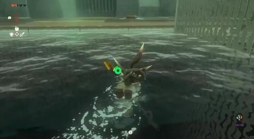 塞尔达传说王国之泪的精髓挑战攻略分享(塞尔达传说之王国之泪神庙攻略)插图45