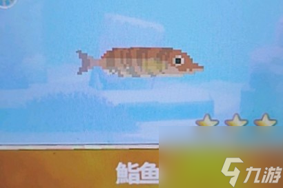 潜水员戴夫鮨鱼抓捕攻略(潜水员戴夫金拟花鮨怎么抓)插图1