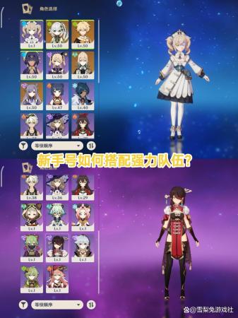 元神新手阵容搭配推荐(原神新手号如何搭配强力队伍)插图