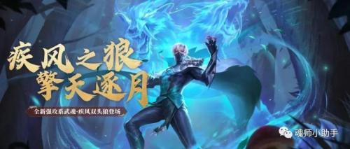 疾风意志阵容搭配推荐(斗罗大陆H5疾风双头狼魂环搭配)插图