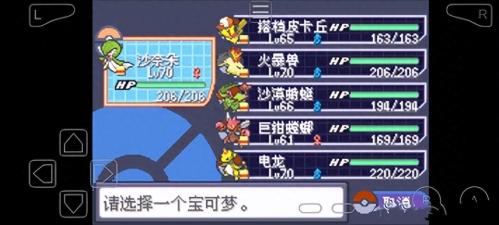 绿宝石5阵容搭配推荐(口袋妖怪究极绿宝石5.3四大天王打法攻略分享)插图
