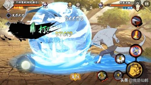 阴阳师鬼鲛阵容搭配推荐(干柿鬼鲛鲛肌融合阵容搭配)插图4