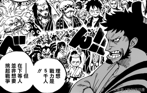 海贼王凯多阵容搭配推荐(海贼王凯多的阵容)插图1 海贼王凯多阵容搭配推荐(海贼王凯多的阵容)插图1