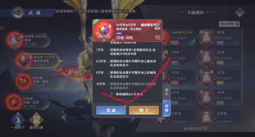 斗罗大陆魂环推荐搭配阵容(斗罗大陆魂师对决：幽冥白虎魂环搭配和加点)插图8