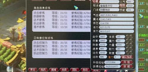 比武阵容搭配推荐(梦幻西游有力地府的比武阵容)