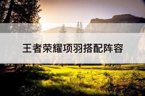 项羽搭配推荐阵容(王者荣耀项羽搭配阵容)