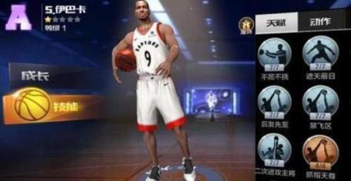 王朝阵容搭配推荐图解(NBA王朝模式阵容搭配推荐)