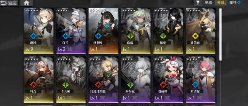 雷主阵容搭配推荐(白夜极光雷队阵容搭配推荐)