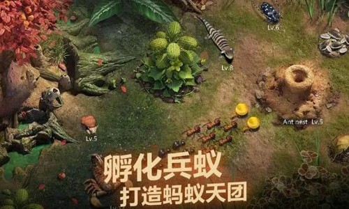 守望幸福射手推荐阵容搭配(守望家园最强阵容)