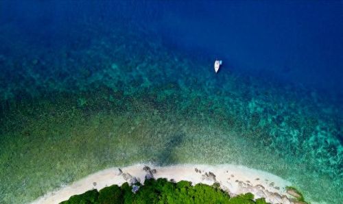 逃离世界游戏攻略(f键逃离世界什么梗)插图