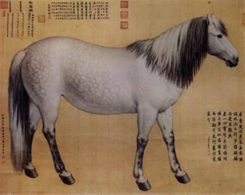 热血江湖真龙装备耐久度(热血江湖青龙武器怎么修复)插图45