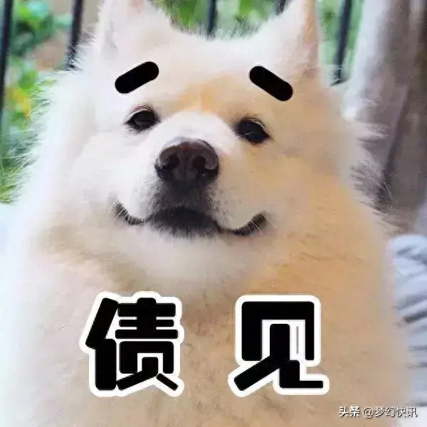 梦幻藏宝阁宝宝技能位置(梦幻西游藏宝阁上的宝宝技能位置)插图4