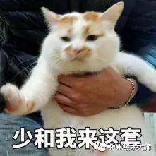 武器战橙裤怎么样(武器战pvp手法教学)插图16