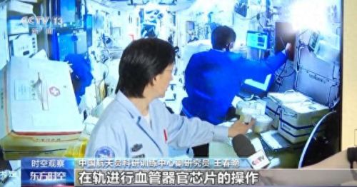 剑与家园强化训练装备(剑与家园装备重铸声望)插图16