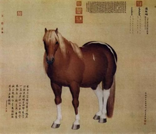 热血江湖真龙装备耐久度(热血江湖青龙武器怎么修复)插图47