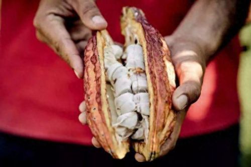 梦幻西游果仁巧克力(梦幻西游手拿巧克力系列)插图6