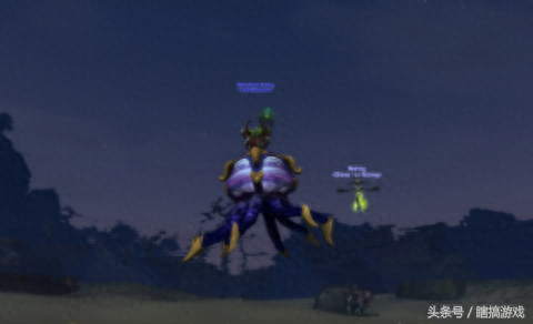 wowm蝙蝠技能(魔兽世界蝙蝠自带技能)插图13