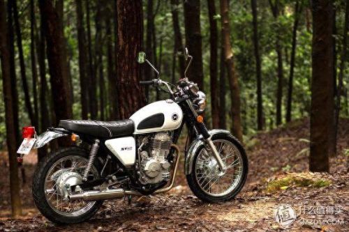 激战220级装备(激战220格隐形包)插图54