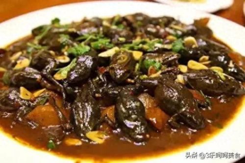 王之哈莫极品攻略(王之哈莫最强搭配)插图