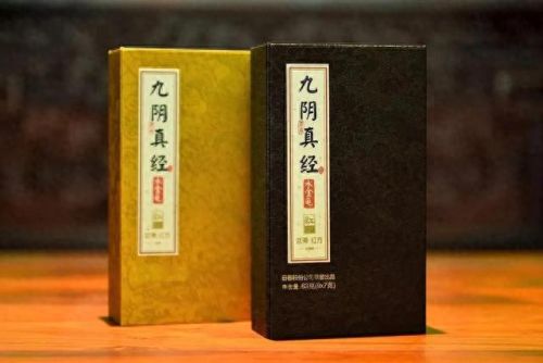 九阴九阳平民攻略(九阳必有阴九阴必有阳吗)插图
