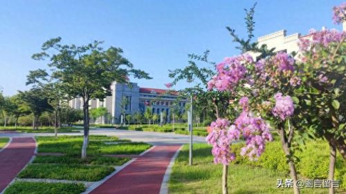 七年之约游戏攻略(七年游戏之约)插图2