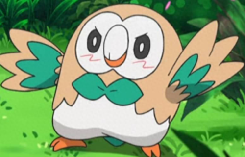 水水獭技能搭配(最强大的水豚技能搭配)插图 水水獭技能搭配(最强大的水豚技能搭配)插图