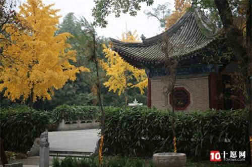 梦幻西游飞升空度禅师建业(梦幻西游飞升渡劫怎么过)