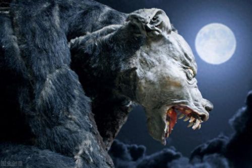 狼人杀白狼技能是什么(狼人杀中白狼的技能)