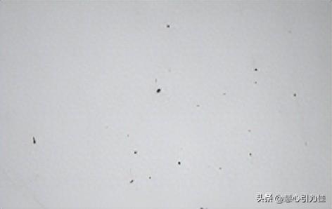 60 武器锻造任务6(1-60猎人任务武器)插图1
