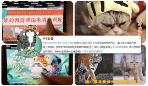 梦幻西游枫桥夜泊怎么样(梦幻西游枫桥夜泊鬼区)插图12