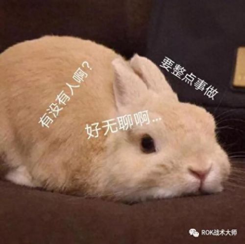 武器战橙裤怎么样(武器战pvp手法教学)插图8