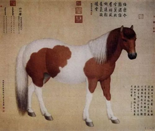 热血江湖真龙装备耐久度(热血江湖青龙武器怎么修复)插图40