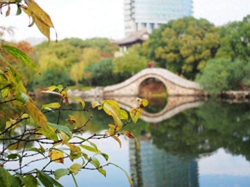 尾行3攻略真由超市(尾行1全流程图文攻略)插图13