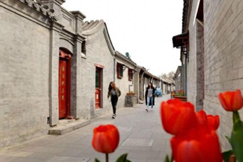 刀剑神域千年黄昏技能怎么带(刀剑神域双刀流触发条件)