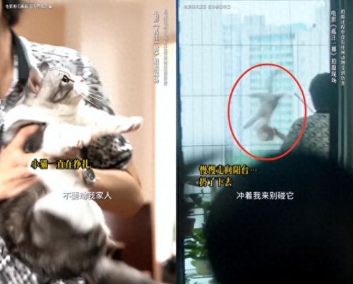 真三国无双7所有关卡开启攻略(真三国无双7的基本操作)插图23