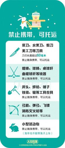弹药春节宠物装备(dnf男弹药)插图2