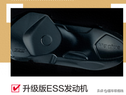 男s装备(男枪8s装备)