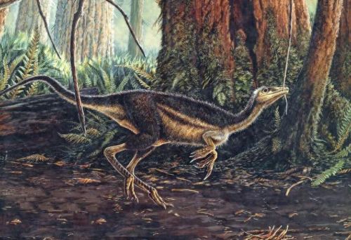 龙加鸟念什么技能(龙加个口念啥)