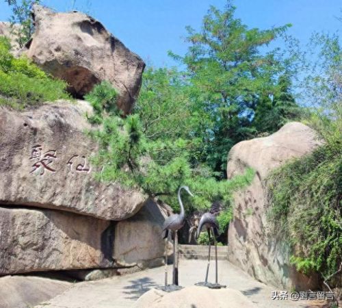 七年之约游戏攻略(七年游戏之约)插图13